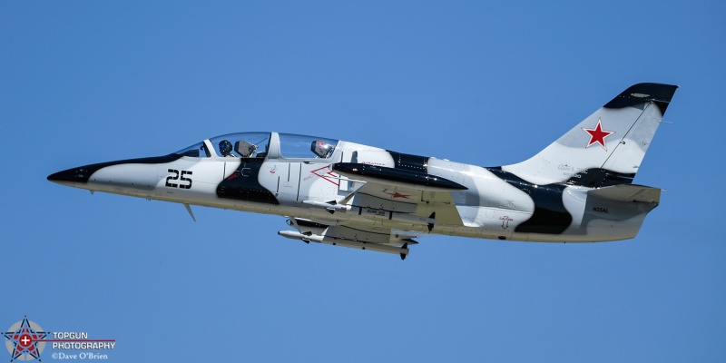 Former Heavy Metal L-39 Albatross 
N25AL / L-39 Albatross 
7/24/24
Keywords: KOSH, Oshkosh, Wittman Regional Airport, L-39 Albatross, General Aviation, EEA Airventure