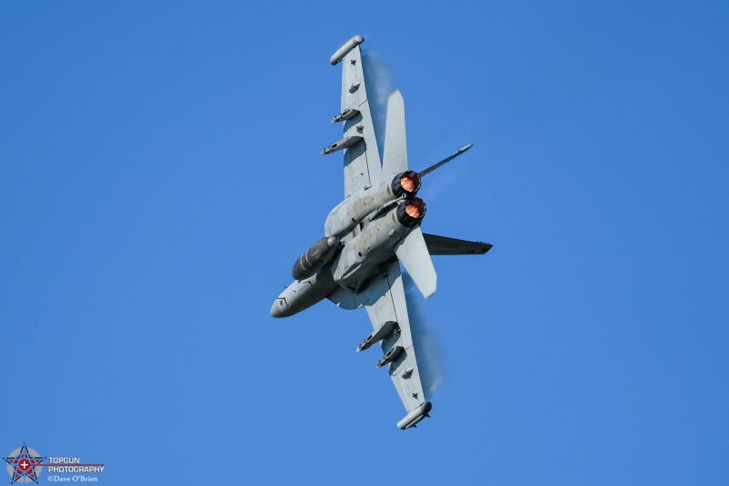 Grizzly12 EA-18G Growler Demo
168376 / EA-18G
VAQ-129 / NAS Whidbey Island, WA
7/24/24
Keywords: Military Aviation, KOSH, Oshkosh, Wittman Regional Airport, EA-18G Growler, VAQ-129, EEA airventure