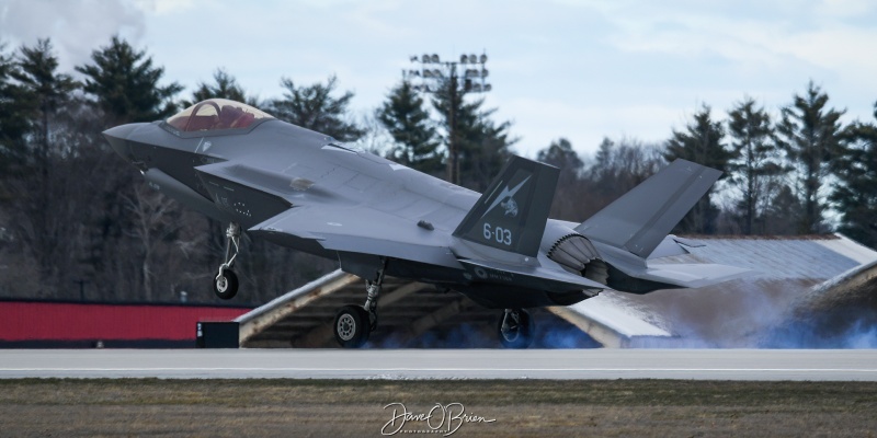 IAM0601
MM7370 / F-35A / 6-05
6th Stormo / Ghedi AB, Italy
4/7/24
Keywords: Military Aviation, KPSM, Pease, Portsmouth Airport, Italian Air Force, F-35A, 6th Stormo