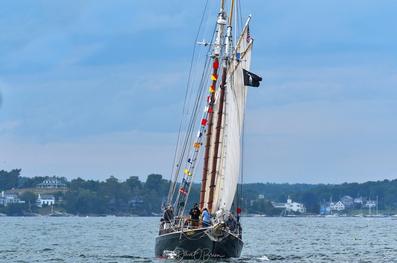 Alert Windjammer heading out of the harbor
Boothbay Harbor Maine
6/26/24
Keywords: Boothbay Maine, Schooners Days, Windjammer, Maine Seacoast, Sailboats