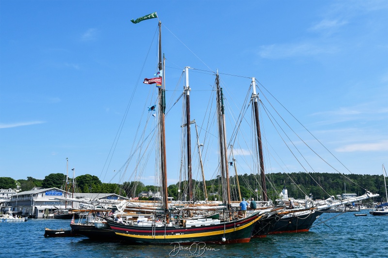 Schooners tied up in the harbor
Boothbay Harbor Maine
6/26/24
Keywords: Boothbay Maine, Schooners Days, Windjammer, Maine Seacoast, Sailboats