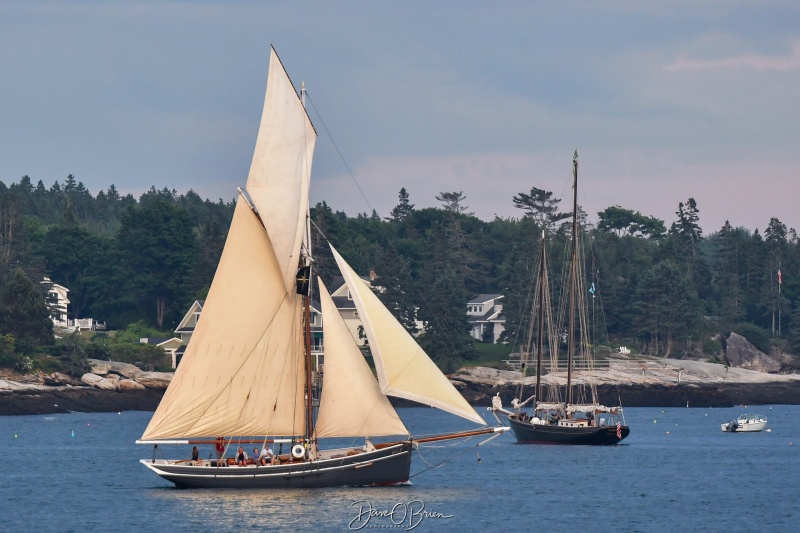 Windjammer Hespler heading out of the harbor
Boothbay Harbor Maine
6/26/24
Keywords: Boothbay Maine, Schooners Days, Windjammer Hespler, Maine Seacoast, Sailboats