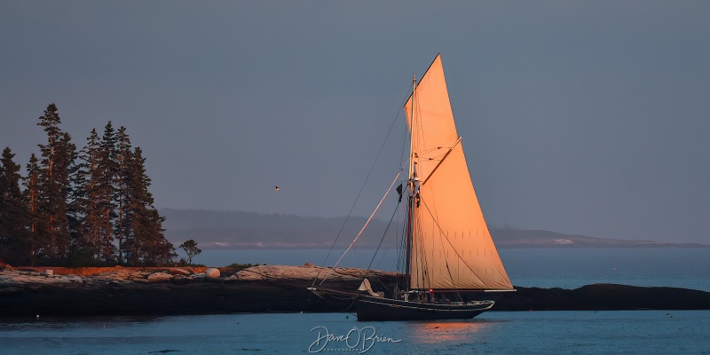 Windjammer Hespler with the setting sun off the sail
Boothbay Harbor Maine
6/26/24
Keywords: Boothbay Maine, Schooners Days, Windjammer Hespler, Maine Seacoast, Sailboats