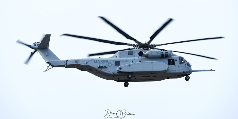 CONDOR44
162488 / CH-53E	
HMH-466 Wolfpack / MCAS Miramar, CA
2/24/24
Keywords: Military Aviation, KNTU, NAS Oceana, US Marines, HMH-466, CH-53E