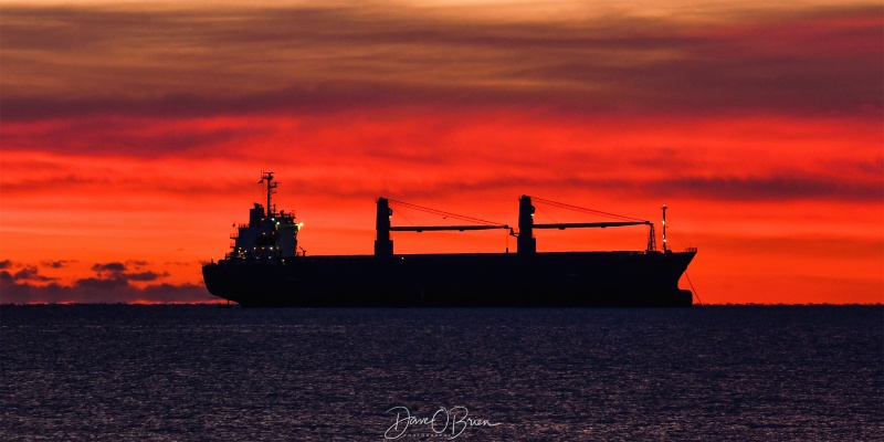 Daiwon Kaloon anchored off shore
Rye, NH
2/25/26
Keywords: New Hampshire, Seacoast, Sunrise