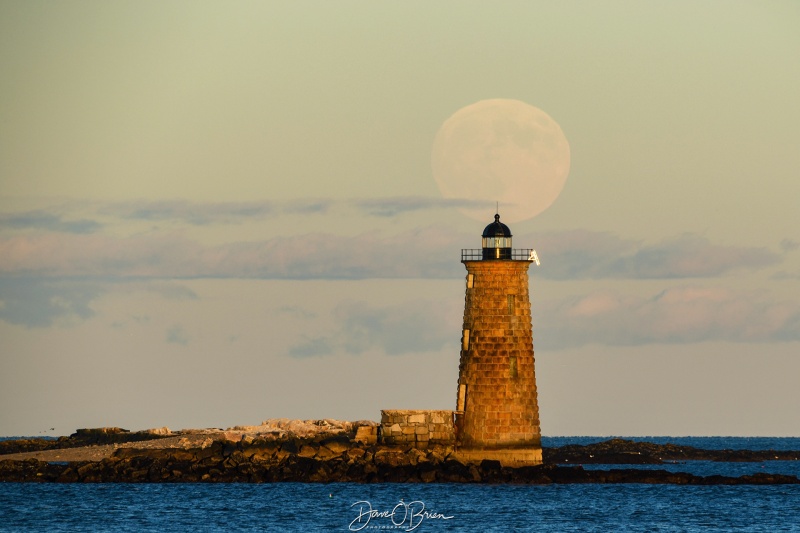 Whaleback Lighthosue
Full Beaver Moon rises above Whaleback Lighthouse
Keywords: Whaleback lighthouse, New England Coast, Sunrise, New Castle NH, Fort Stark