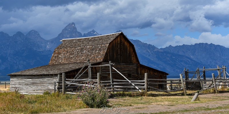 T.A. Moulton Barn
Probably one of the most recognized barns in the United States. 
9/3/24
Keywords: Grand Tetons National Park, Morman Row, Moose WY, T.A. Moulton Barn