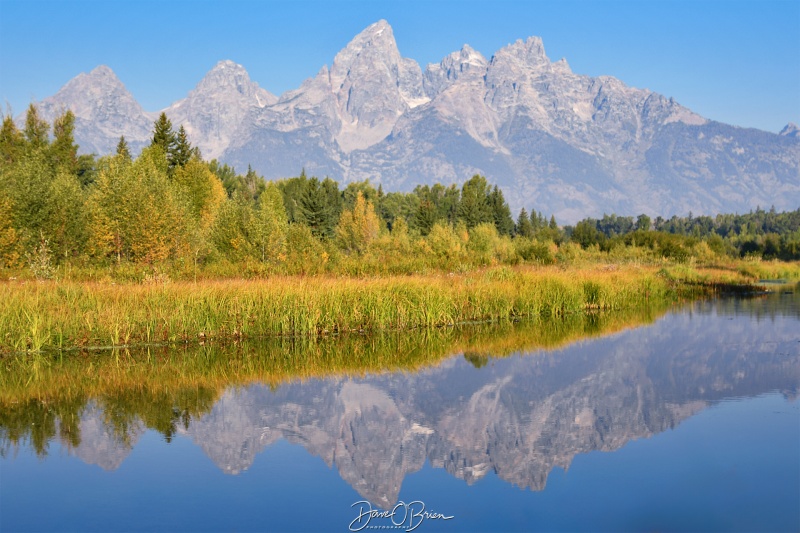 Schwabacher Landing
Had time to run to this location and it was so worth it.
Moose, WY
9/5/24
Keywords: Grand Tetons National Park, Schwabacher Landing, Moose WY,