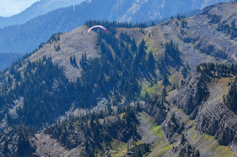 Rendezvous Peak
A paraglider floats aloft after taking off just in front of us.
9/5/24
Keywords: Grand Tetons National Park, Jackson Hole, Rendezvous Mountain