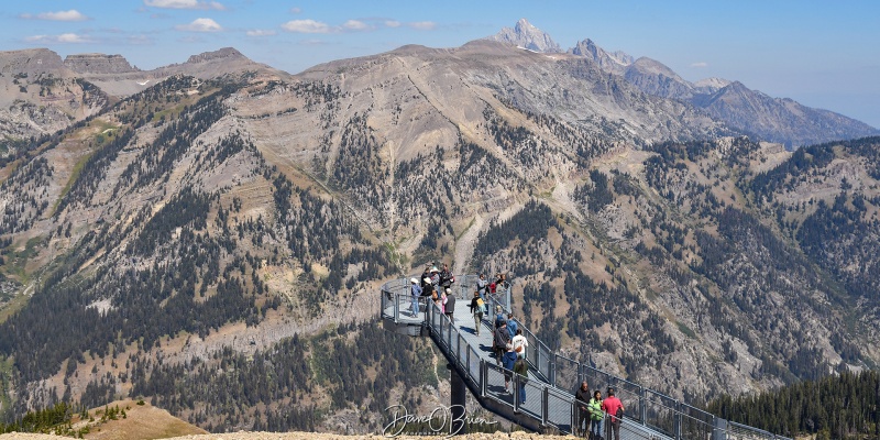 Rendezvous Peak Overlook
Looking North
9/5/24
Keywords: Grand Tetons National Park, Jackson Hole, Rendezvous Mountain