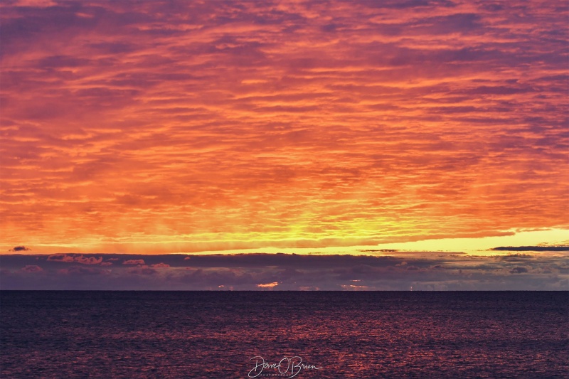 Hampton Beach Sunrise
11/13/25
Keywords: New England Coast, Sunrise, Hampton NH
