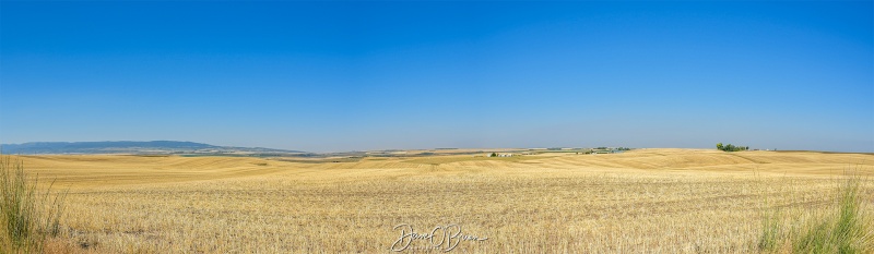 Idaho Potato Fields
Took a road into ID to get back to Bozeman MT. This is what you saw the majority of the trip
9/6/24
Keywords: Grand Tetons, Idaho, Idaho Potato Fields