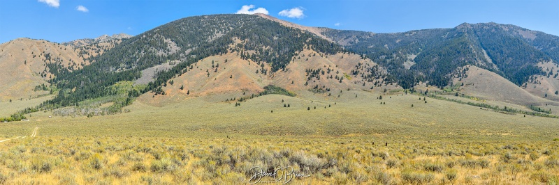 Saying Good Bye to Idaho
Would have loved to have taken a horse ride through this field.
9/5/24
Keywords: Grand Tetons, Idaho,