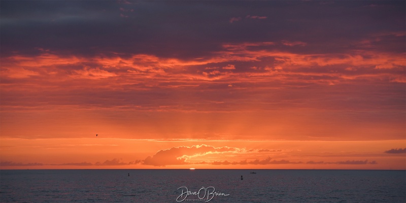 Sunrise off Portland Head Light
10/3/24
Keywords: Sunrise, New England Coastline, Portland Me,