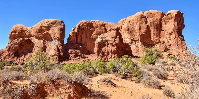 Parade of Elephants
Arches National Park
10/7/25
Keywords: Moab UT, Arches National Park, Parade of Elephants