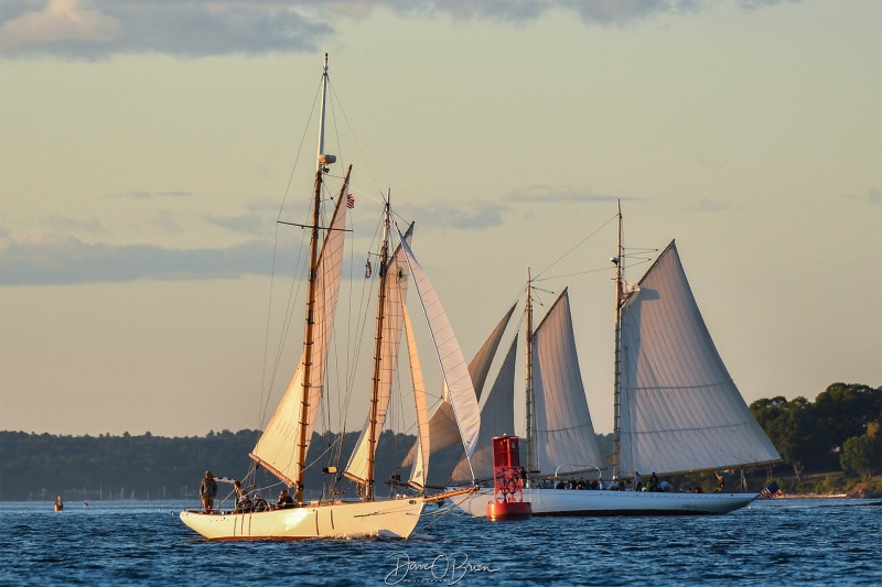 Wendameen Schooner
Heart's Desire in front,
Wendameen Schooner in the background, 88' first launched in 1912
8/31/25
Keywords: New England Coast, Portland ME, Schooners