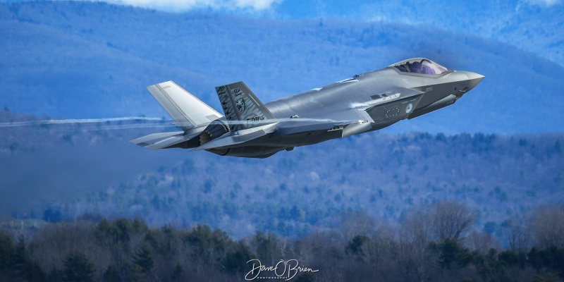 NAF325
F-031 / F-35A	
313sq / Volkel, NLD
3/5/24
Keywords: Military Aviation, KBTV, Burlington Airport, Jets, F-35A, RNALF