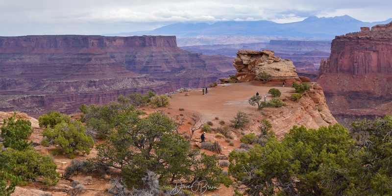 Canyonlands National Park
10/8/25
Keywords: Moab Utah, Canyonlands National Park, Shafer Trail Overlook