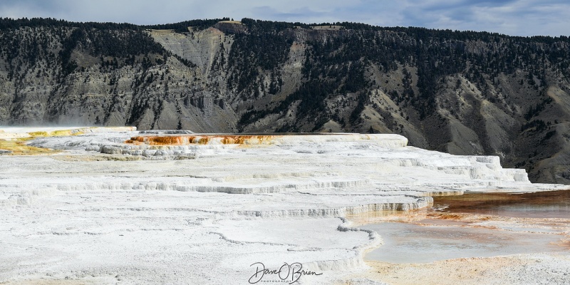 Canary Spring
Is at the top of Mammoth Hot Spring, due to springs shutting off and opening new springs, water levels change often. 
9/2/24
Keywords: Yellowstone National Park, Wyoming, Geysers, Mammoth Hotspring,