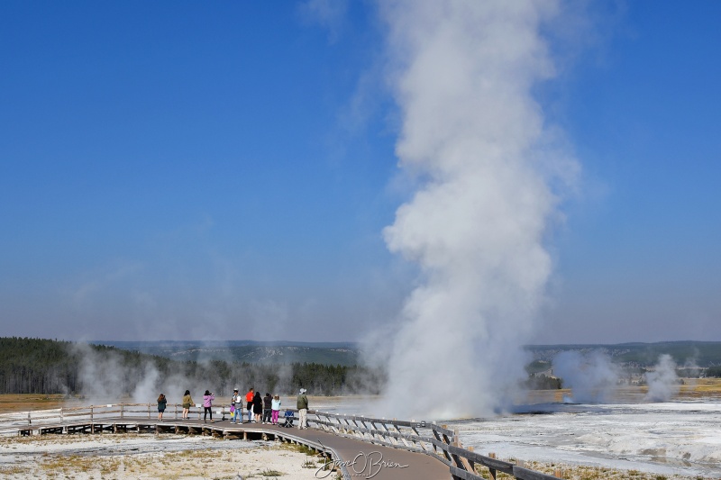 Spasm Geyser
Fountain Paint Pot Trail
9/1/24
Keywords: Yellowstone National Park, Wyoming, Geysers, Fountain Paint Pot Trail