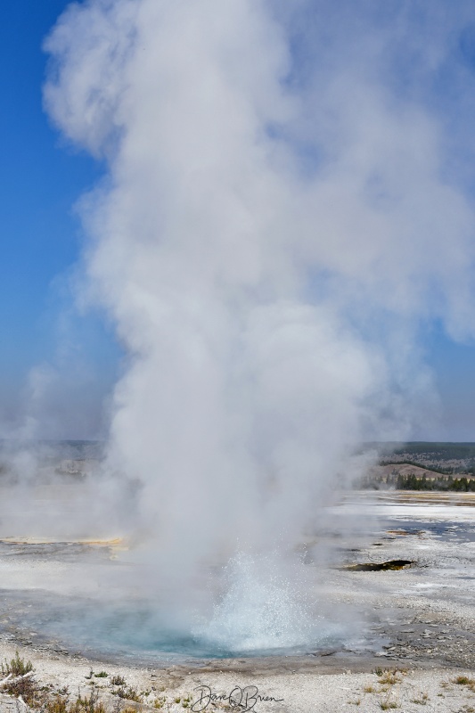 Spasm Geyser
Stopped at the Fountain Paint Pot trail. 
9/1/24
Keywords: Yellowstone National Park, Wyoming, Geysers, Fountain Paint Pot Trail