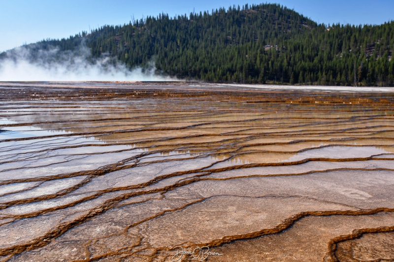 The mineral deposits from Prismatic Springs are beautiful
Prismatic Springs
9/1/24
Keywords: Yellowstone National Park, Wyoming, Geysers, Prismatic Springs, Midway Geyser Basin