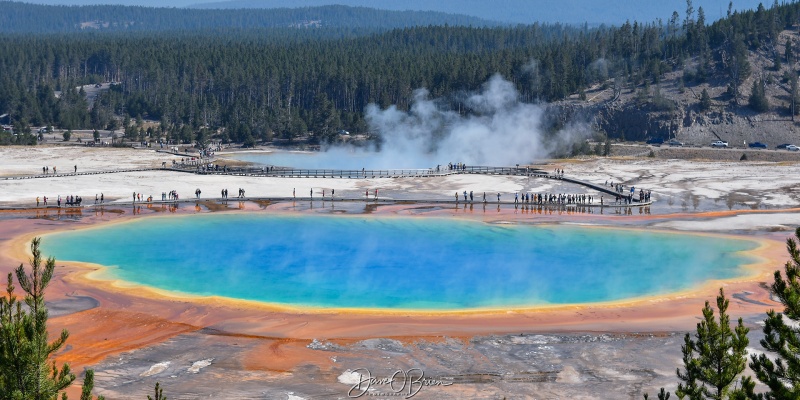 Prismatic Springs
Its a small hike to the viewing location, but it's a must!
Keywords: Yellowstone National Park, Wyoming, Geysers, Prismatic Springs, Midway Geyser Basin