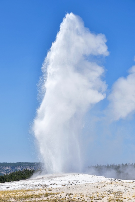 Old Faithful Blows
It started late and a little lack luster, but she finally gave a good show to snap.
9/1/24
Keywords: Yellowstone National Park, Wyoming, Geysers, Old Faithful