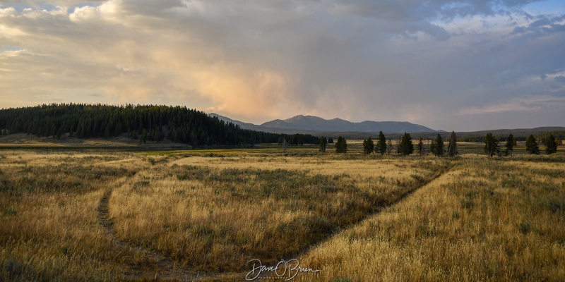 Hayden Valley Sunset
Beautiful flowing fields in Yellowstone
9/1/24
Keywords: Yellowstone National Park, Wyoming, Hayden Valley