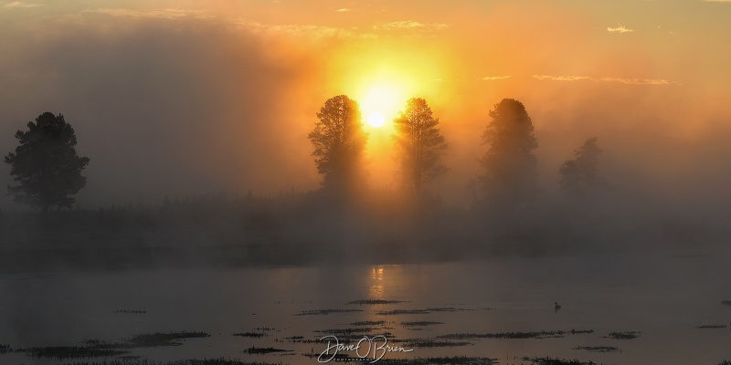 Hayden Valley Sunrise
Sunrise coming up over Yellowstone River
9/2/24
Keywords: Yellowstone National Park, Wyoming, Sunrise, Hayden Valley