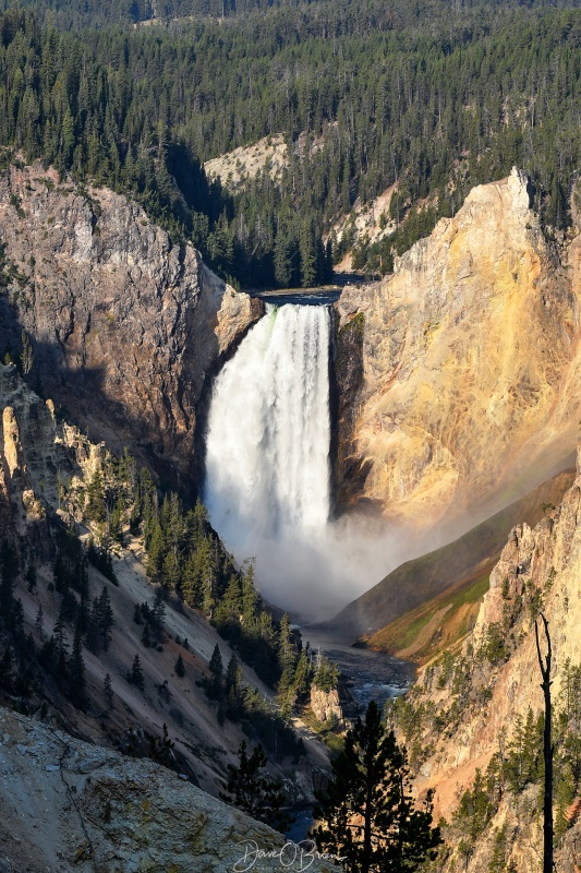 Artist Point shot from Artist Point Trail
Artist Point
Yellowstone NP, WY
9/2/24
Keywords: Yellowstone National Park, Artists Point, Waterfalls, Hayden Valley