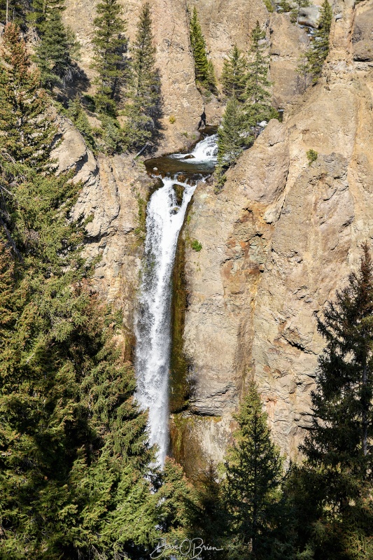 Tower Falls
Tower Falls shot from the overlook
Yellowstone NP, WY
9/2/24
Keywords: Yellowstone National Park, Tower Falls, Waterfalls, Hayden Valley