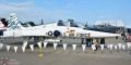 ARGUE84_T-38C_66-8380_D500_Warbirds_7-24-26-8354.jpg