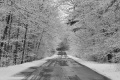 B_W_Fresh_Snow-6895.jpg
