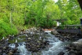 Damariscotta_Fish_Ladder-7446.jpg