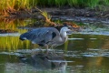 Filename=GBH-3760.jpg
Filesize=2499KiB
Dimensions=1920x1280
Date added=Oct 07, 2026 GBH-3760.jpg