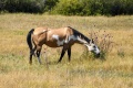 Grand_Tetons_24-5942.jpg