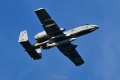 SHARK21_80-0188_A-10C-2841.jpg