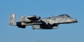SHARK24_78-0586_A-10C-3099.jpg