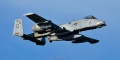 SHARK25_81-0988_A-10C-3328.jpg