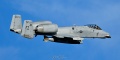SHARK25_81-0988_A-10C-3378.jpg