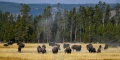 Yellowstone_24-5729.jpg