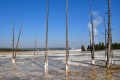 Yellowstone_24-7662.jpg