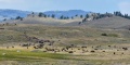 Yellowstone_24-7848.jpg